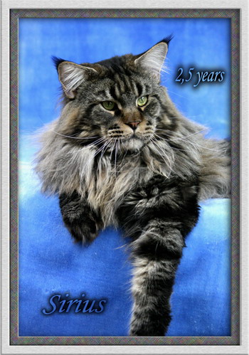 Summerplace Sirius - мейн-кун 15.03.2009