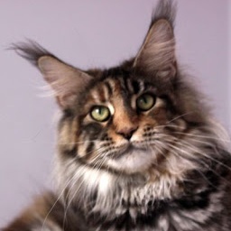 PL*Duch Nocy Cafe Latte