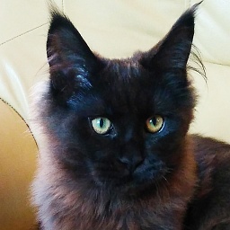Faydark Faraon