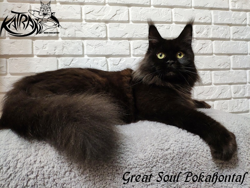 Great Soul Pokahontas - мейн-кун