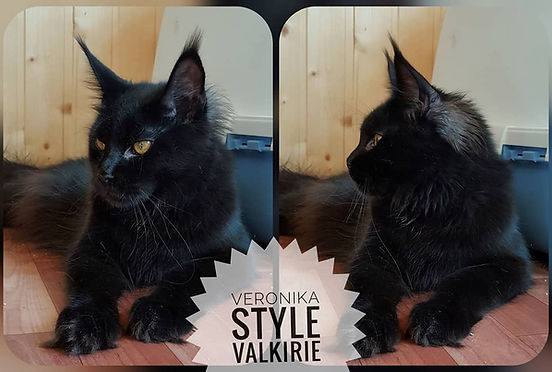 Veronika Style Valkyrie - мейн-кун